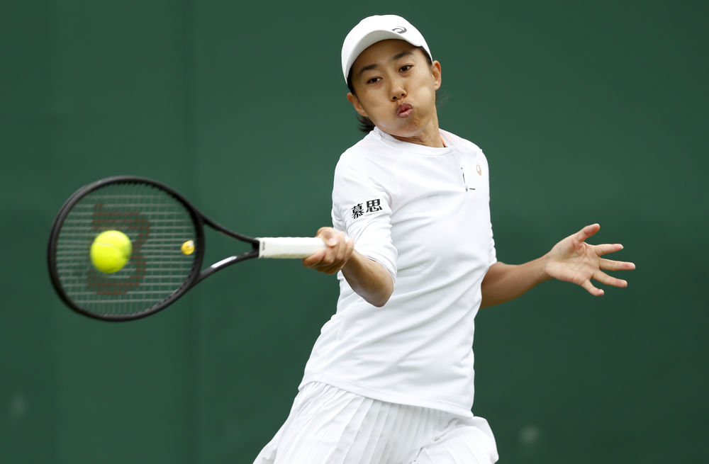 年轻的皮诺 年轻的皮诺